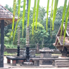 IMG_9900.png
